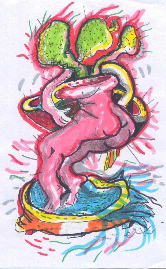 Vision Cactus Eros 5