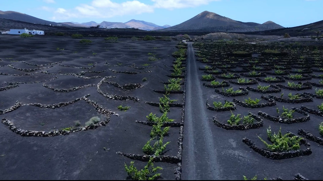 La Geria: Inside the paradise of wine in Lanzarote