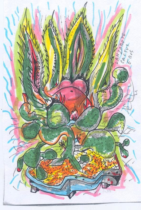 Vision Cactus Eros 12