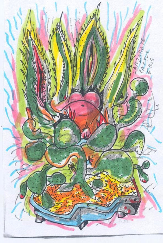 Vision Cactus Eros 12