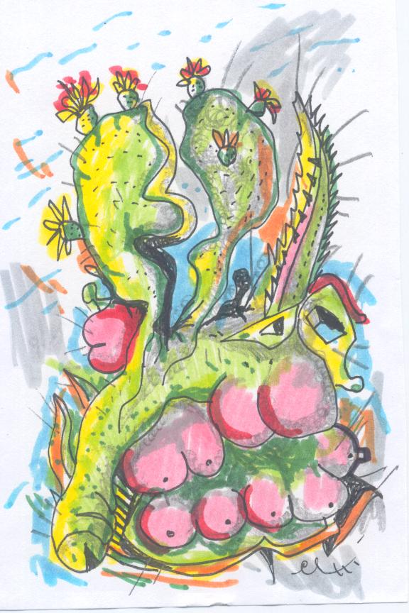 Vision Cactus Eros 7