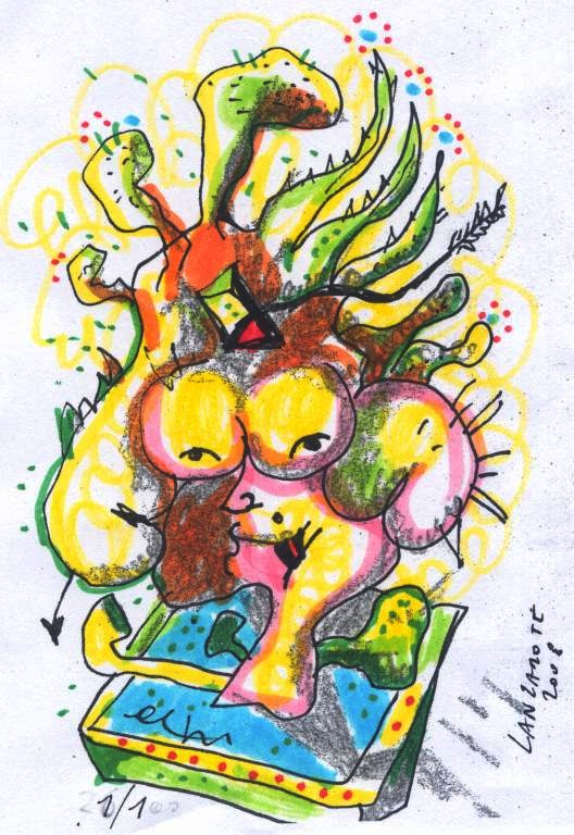 Vision Cactus Eros 9