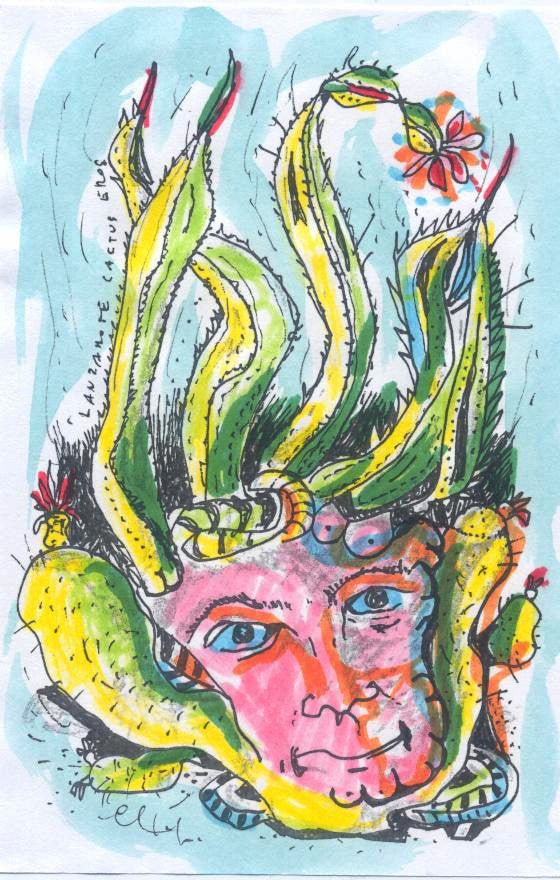 Vision Cactus Eros 6